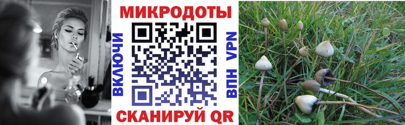 цены   Холм  Галлюциногенные грибы Magic Shrooms 
